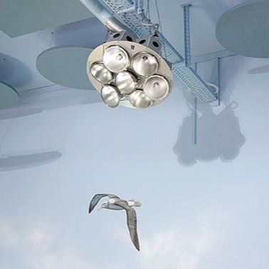 Foto: Wandmalerei im Flur im Nutzwedel Sonnentherapiezentrum, Detail